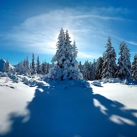 Ridehouse ベッド・アンド・ブレックファスト *