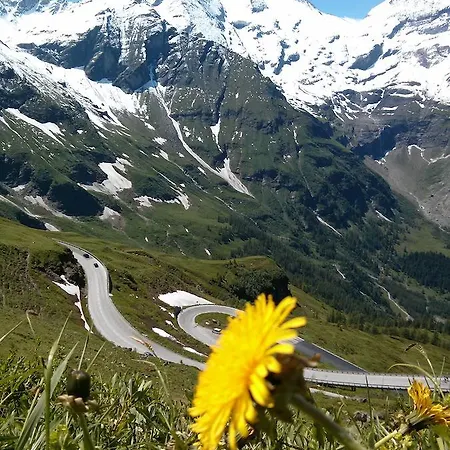 Ridehouse * シュラートミンク